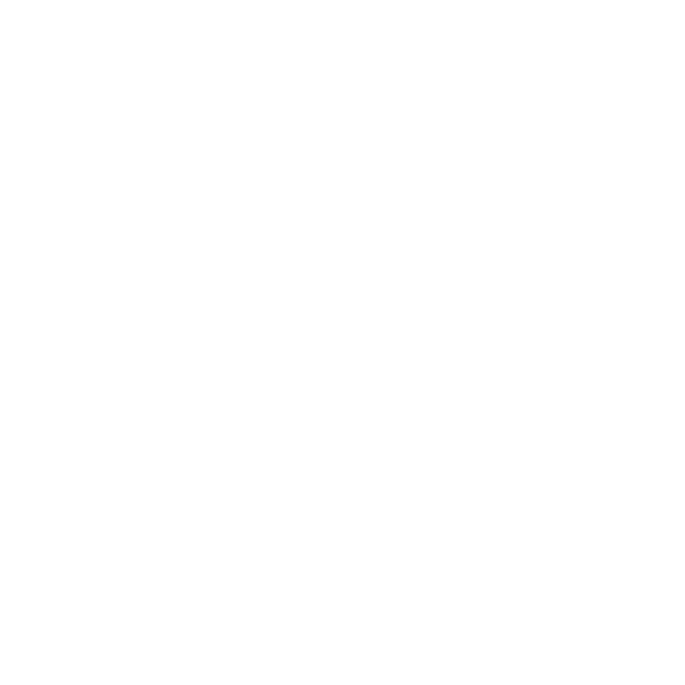 FC Dynamo Beervelde
